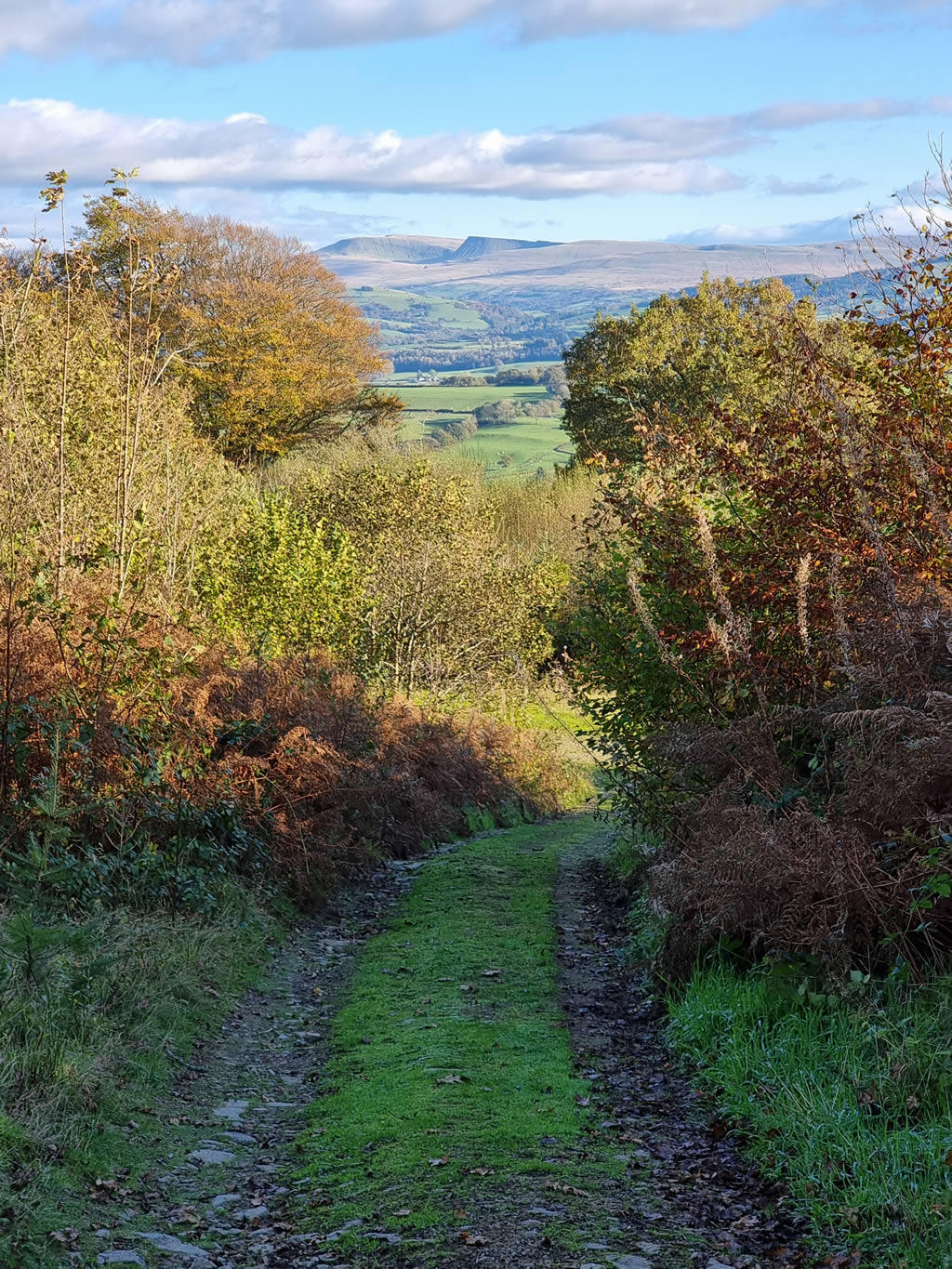 Muddy lane with view over Carmarthen Fans